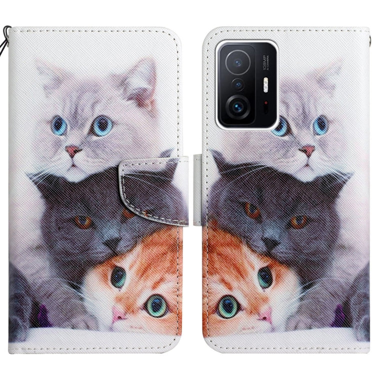 Painted Pattern Flip Leather Phone Case, For Xiaomi Mi 11T