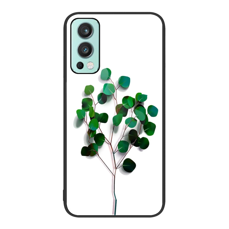 Colorful Painted Glass Phone Case, For OnePlus Nord 2 5G