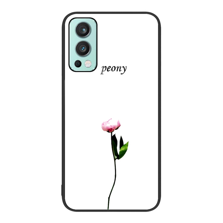 Colorful Painted Glass Phone Case, For OnePlus Nord 2 5G