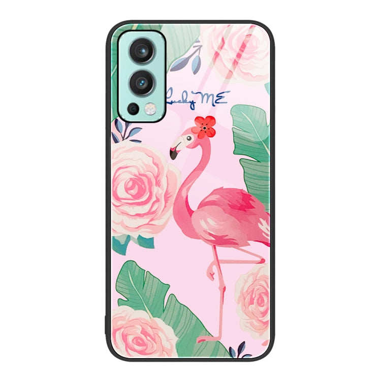Colorful Painted Glass Phone Case, For OnePlus Nord 2 5G