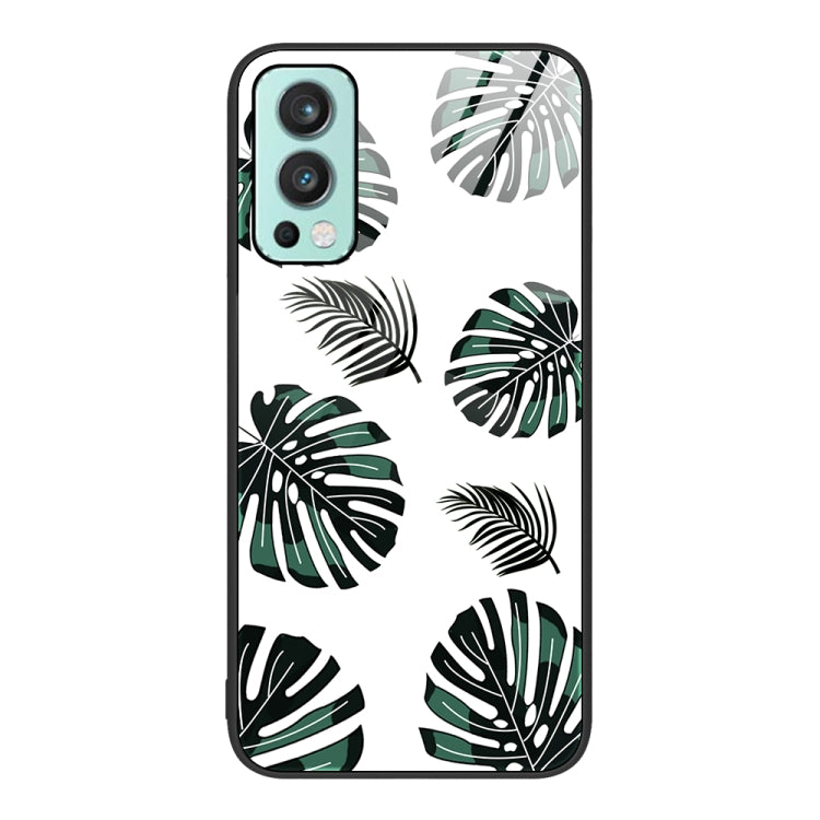 Colorful Painted Glass Phone Case, For OnePlus Nord 2 5G