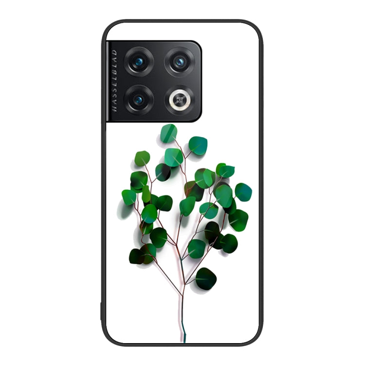 Colorful Painted Glass Phone Case, For OnePlus 10 Pro