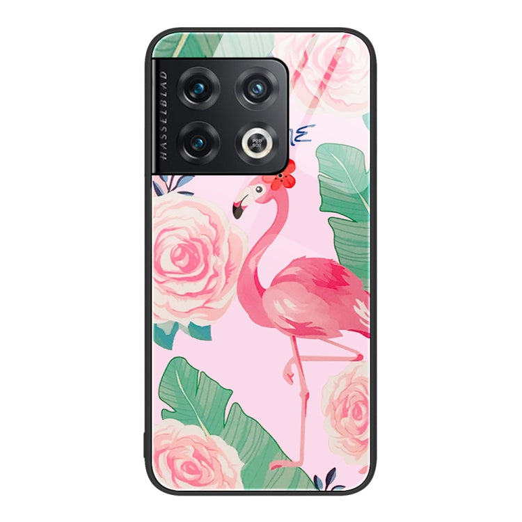 Colorful Painted Glass Phone Case, For OnePlus 10 Pro