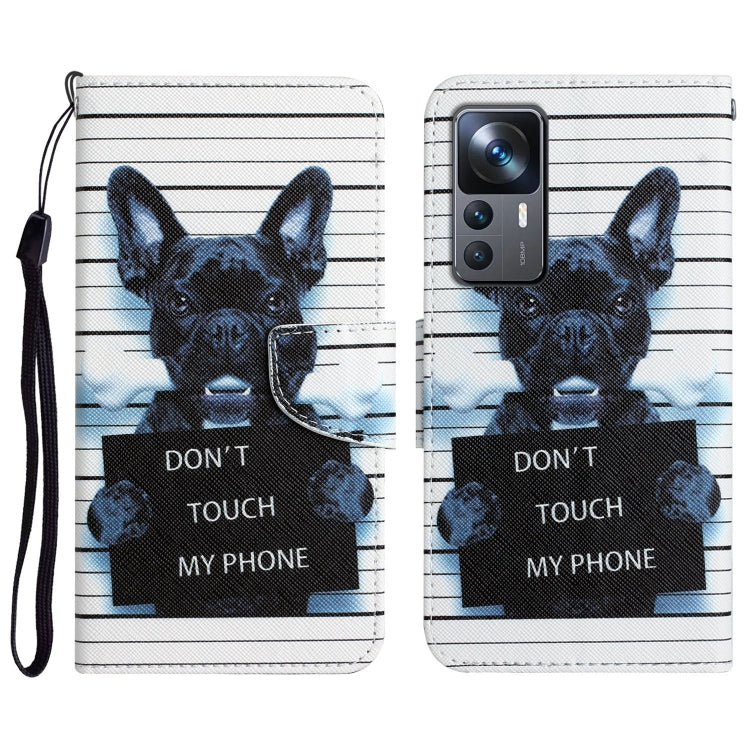 Colored Drawing Leather Phone Case, For Xiaomi 12T / 12T Pro / Redmi K50 Ultra