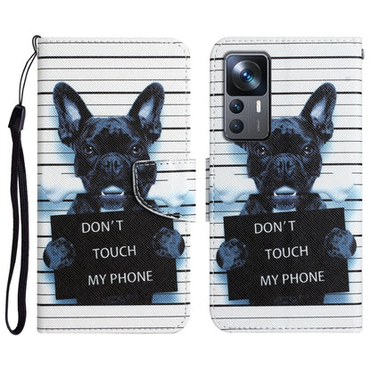 Colored Drawing Leather Phone Case, For Xiaomi 12T / 12T Pro / Redmi K50 Ultra