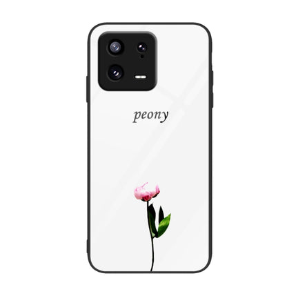 Colorful Painted Glass Phone Case, For Xiaomi 13