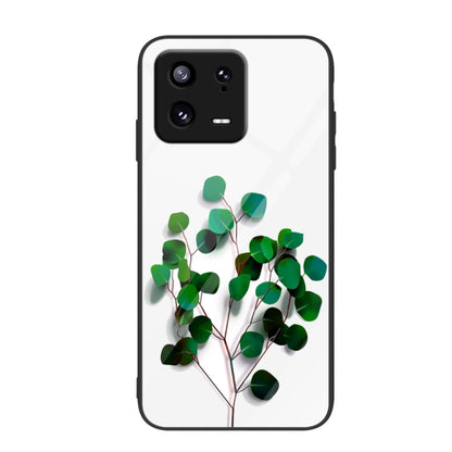 Colorful Painted Glass Phone Case, For Xiaomi 13 Pro