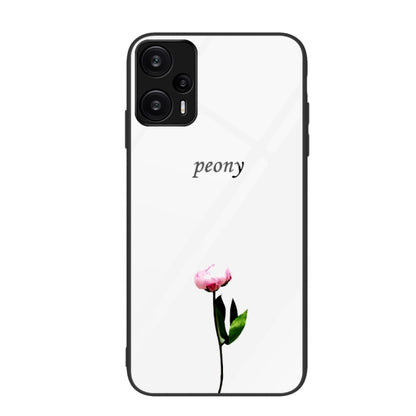 Colorful Painted Glass Phone Case, For Xiaomi Redmi Note 12 Turbo