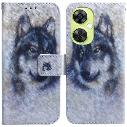 Coloured Drawing Flip Leather Phone Case, For OnePlus Nord CE4 5G, For OnePlus Nord CE 3 Lite/Nord N30