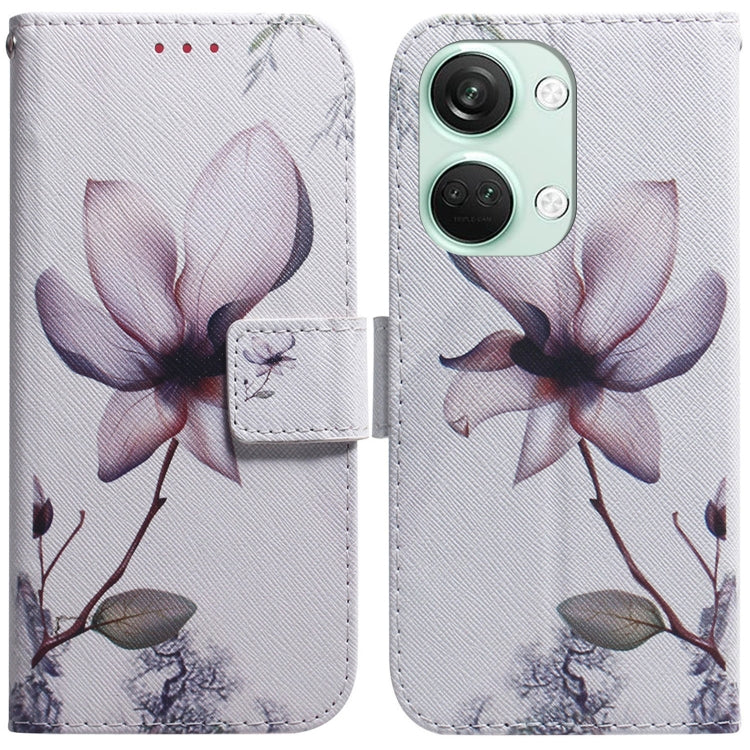 Coloured Drawing Flip Leather Phone Case, For OnePlus Nord 3