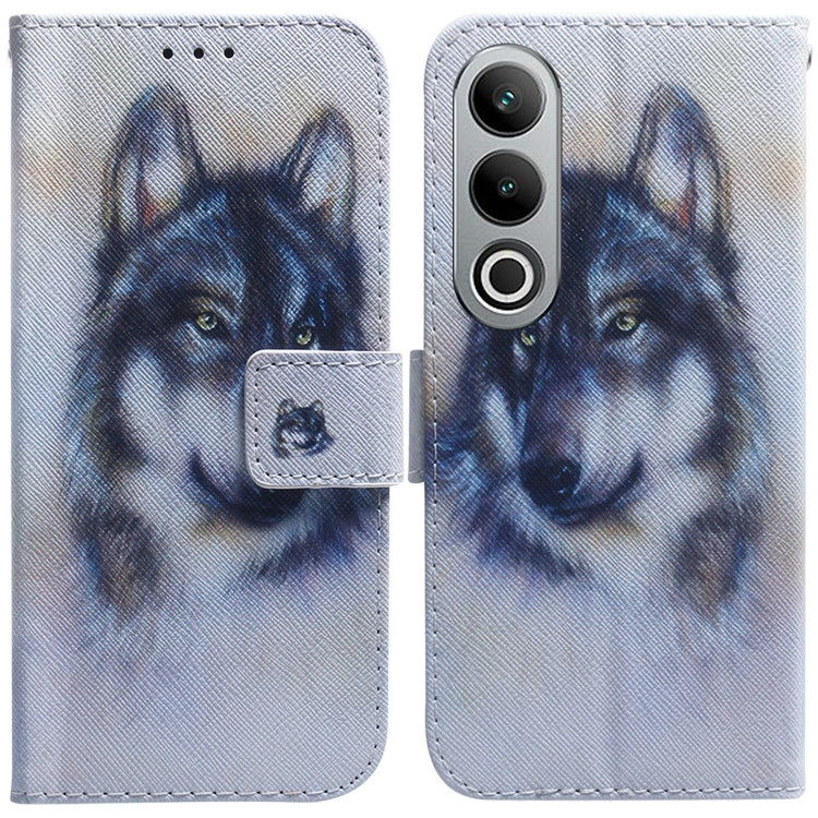 Coloured Drawing Flip Leather Phone Case, For OnePlus Nord CE4 5G, For OnePlus Nord CE 3 Lite/Nord N30