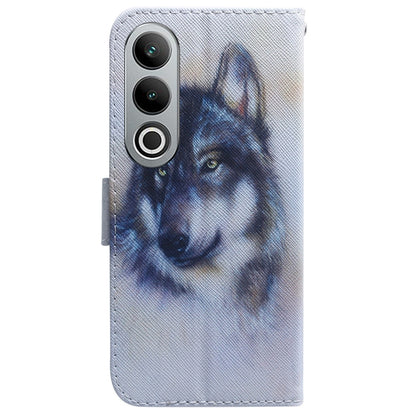 Coloured Drawing Flip Leather Phone Case, For OnePlus Nord CE4 5G, For OnePlus Nord CE 3 Lite/Nord N30