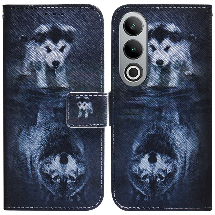 Coloured Drawing Flip Leather Phone Case, For OnePlus Nord CE4 5G, For OnePlus Nord CE 3 Lite/Nord N30