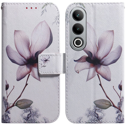 Coloured Drawing Flip Leather Phone Case, For OnePlus Nord CE4 5G, For OnePlus Nord CE 3 Lite/Nord N30