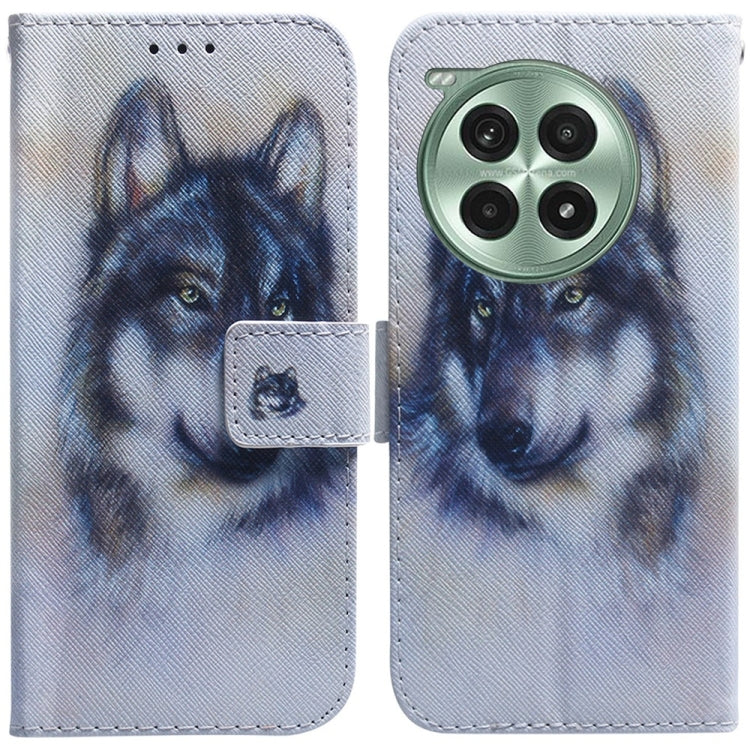Coloured Drawing Flip Leather Phone Case, For OnePlus Ace 3 Pro, For OnePlus Nord CE4 Lite