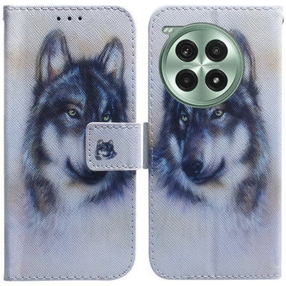 Coloured Drawing Flip Leather Phone Case, For OnePlus Ace 3 Pro, For OnePlus Nord CE4 Lite