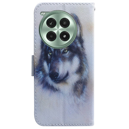 Coloured Drawing Flip Leather Phone Case, For OnePlus Ace 3 Pro, For OnePlus Nord CE4 Lite
