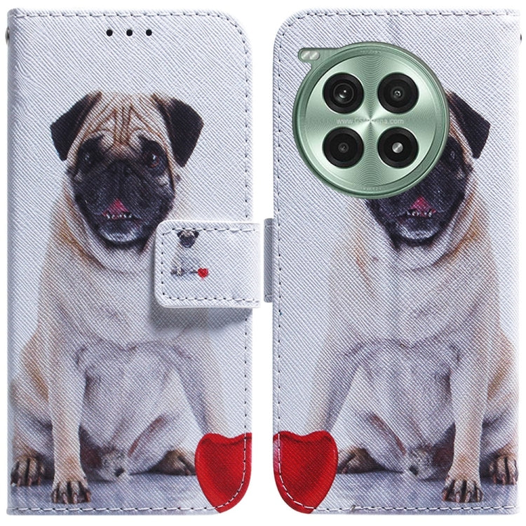 Coloured Drawing Flip Leather Phone Case, For OnePlus Ace 3 Pro, For OnePlus Nord CE4 Lite