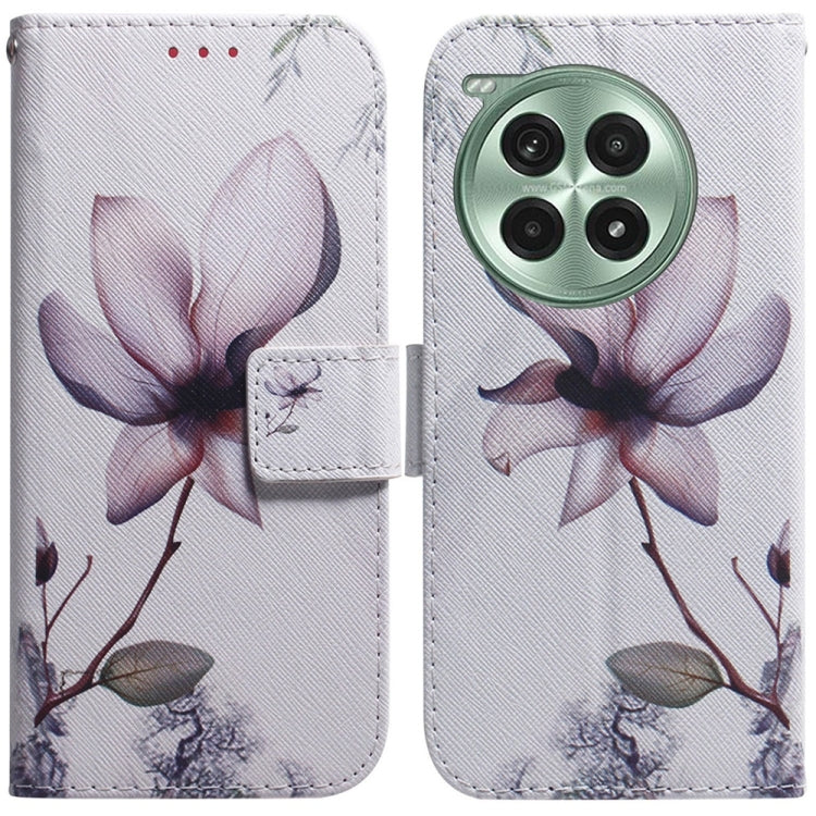 Coloured Drawing Flip Leather Phone Case, For OnePlus Ace 3 Pro, For OnePlus Nord CE4 Lite