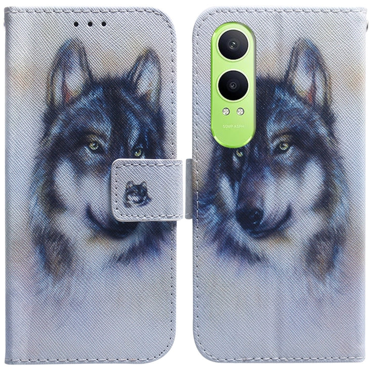 Coloured Drawing Flip Leather Phone Case, For OnePlus Ace 3 Pro, For OnePlus Nord CE4 Lite