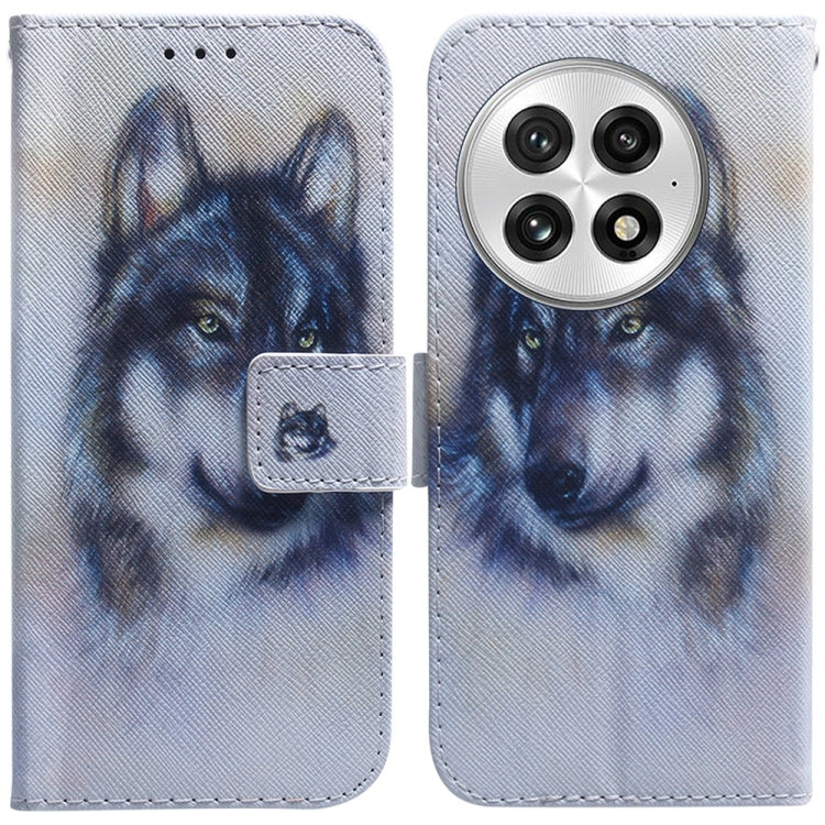 Coloured Drawing Flip Leather Phone Case, For OnePlus 13, For OnePlus Nord 4