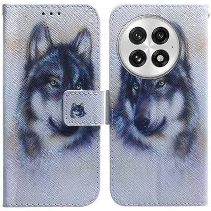 Coloured Drawing Flip Leather Phone Case, For OnePlus 13, For OnePlus Nord 4