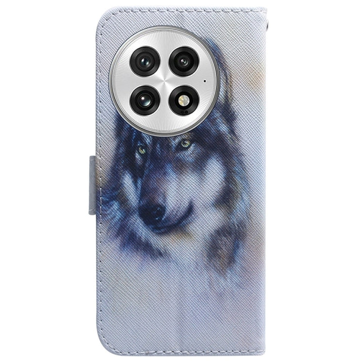 Coloured Drawing Flip Leather Phone Case, For OnePlus 13, For OnePlus Nord 4