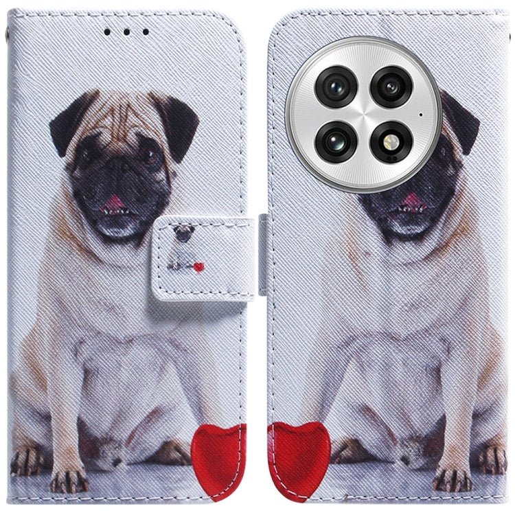 Coloured Drawing Flip Leather Phone Case, For OnePlus 13, For OnePlus Nord 4