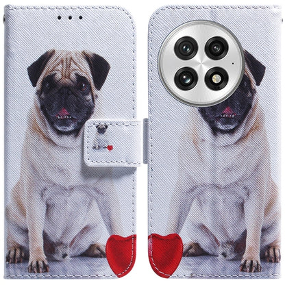 Coloured Drawing Flip Leather Phone Case, For OnePlus 13, For OnePlus Nord 4