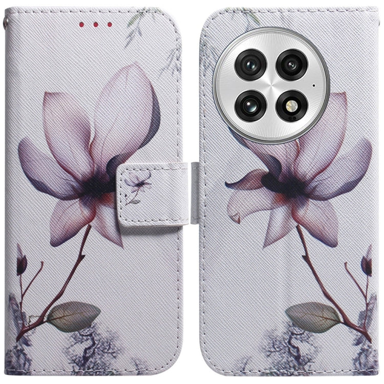Coloured Drawing Flip Leather Phone Case, For OnePlus 13, For OnePlus Nord 4