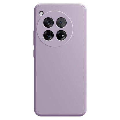Imitation Liquid Silicone Phone Case, For OnePlus 12