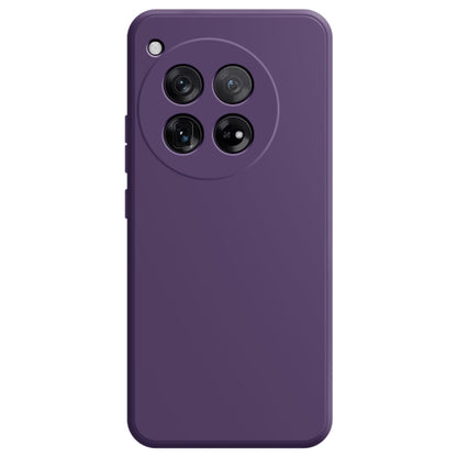 Imitation Liquid Silicone Phone Case, For OnePlus 12