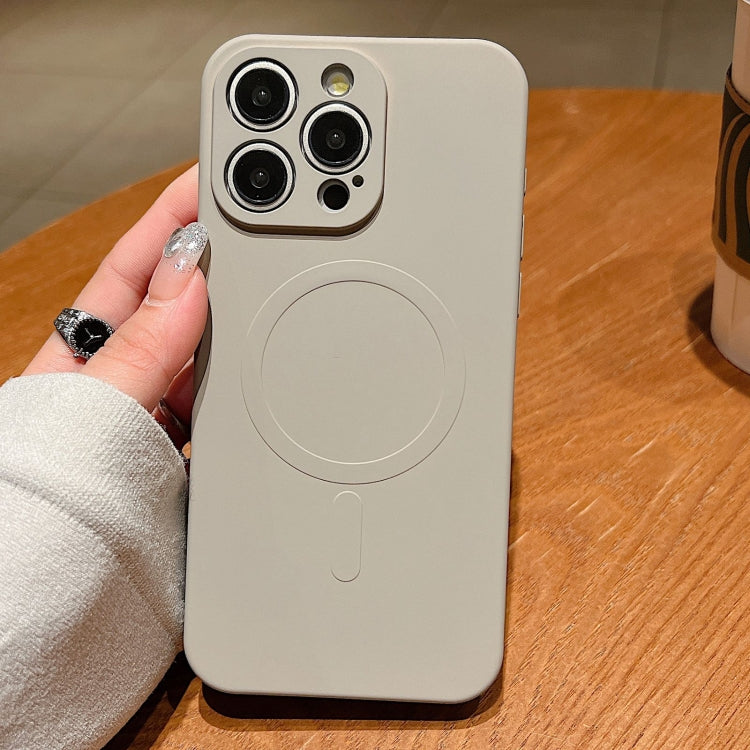 Solid Color Liquid Silicone MagSafe Magnetic Phone Case, For iPhone 13 Pro