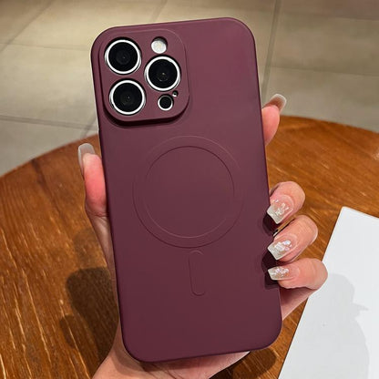 Solid Color Liquid Silicone MagSafe Magnetic Phone Case, For iPhone 13 Pro