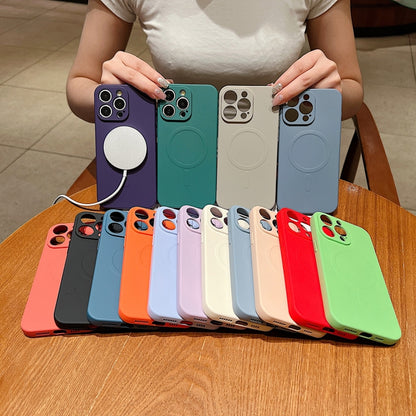 Solid Color Liquid Silicone MagSafe Magnetic Phone Case, For iPhone 13 Pro