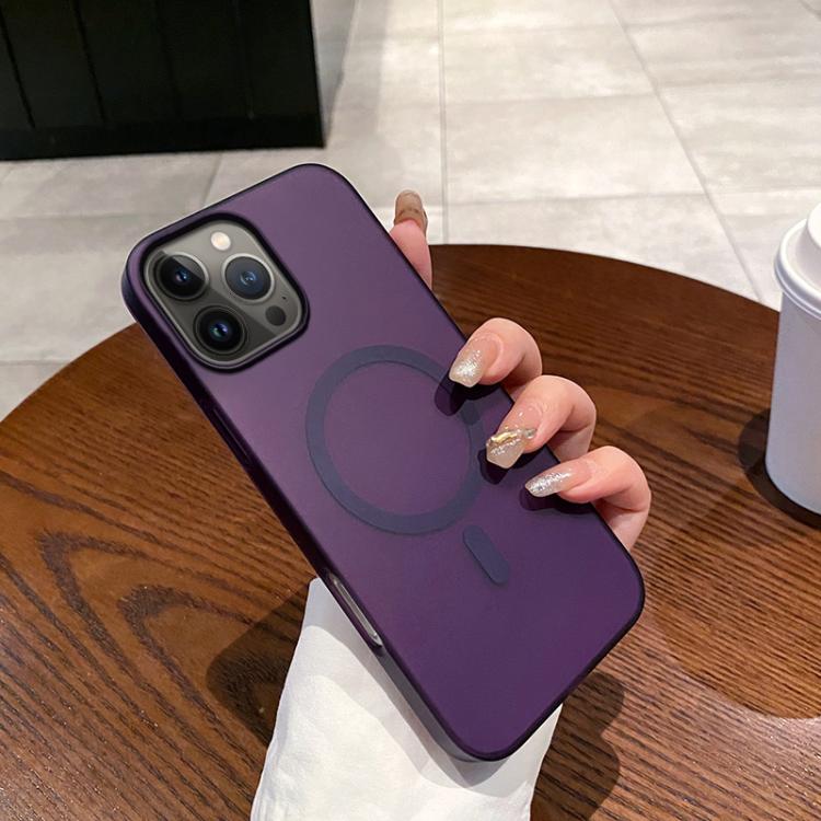 Ice Fog MagSafe PC Phone Case, For iPhone 14 Pro Max, For iPhone SE 2022 / SE 2020 / 8 / 7, For iPhone 13 Pro Max