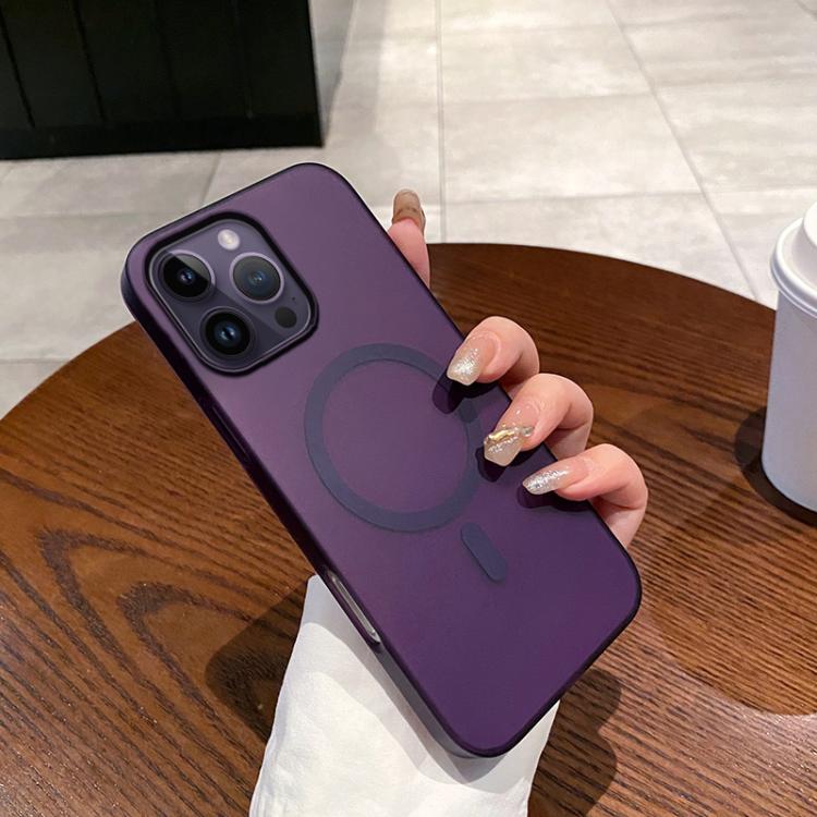 Ice Fog MagSafe PC Phone Case, For iPhone 14 Pro Max, For iPhone SE 2022 / SE 2020 / 8 / 7, For iPhone 13 Pro Max