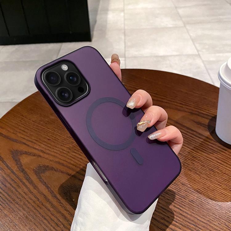 Ice Fog MagSafe PC Phone Case, For iPhone 16e, For iPhone 16 Pro Max, For iPhone 16 Pro